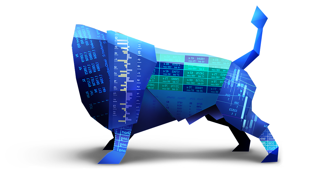 bull